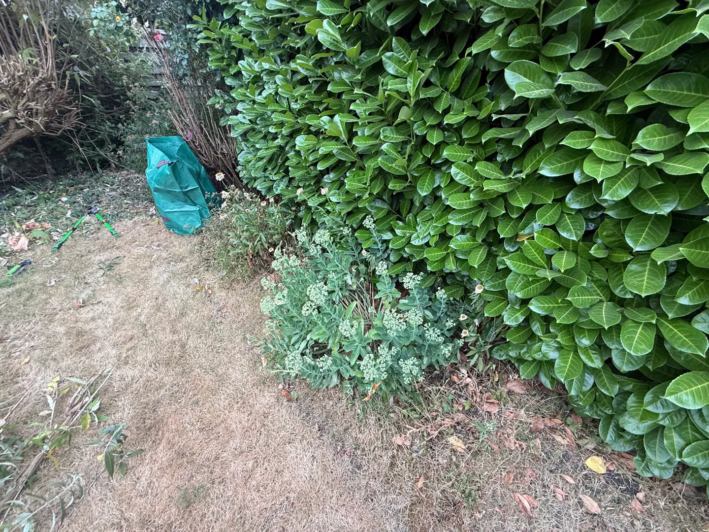 Gartenbereich während der Schnitt- und Pflegearbeiten