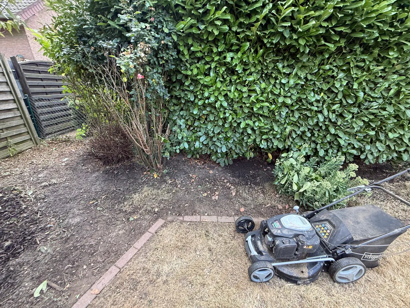 Freigelegte Beetkante vor einer Hecke