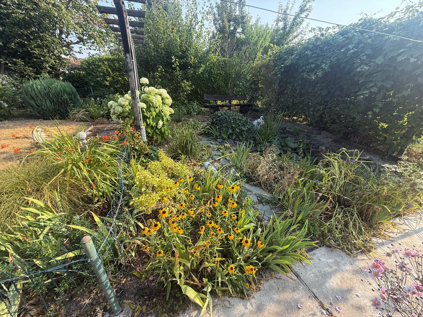 Bepflanzter Gartenbereich mit Stauden und Blüten